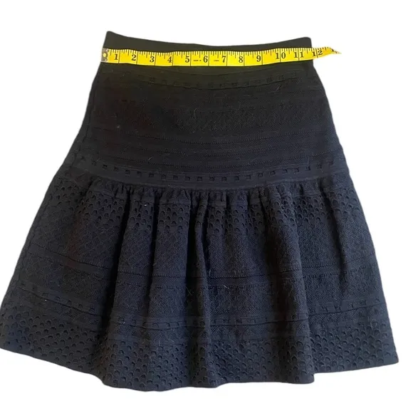 BCBG Black Embroidered Black Mini Skirt, Small