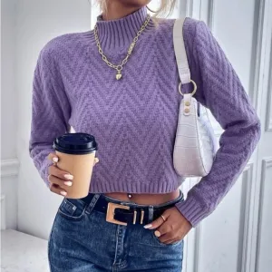 New purple Chevron knit crop sweater