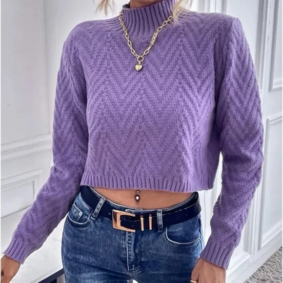 New purple Chevron knit crop sweater