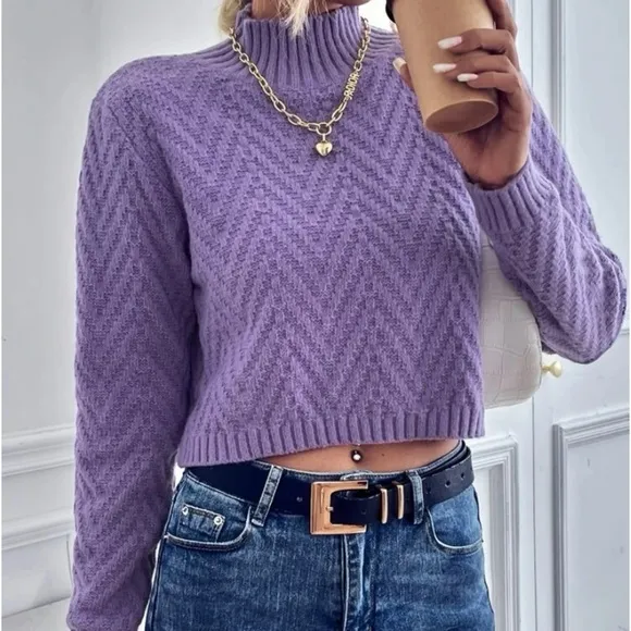 New purple Chevron knit crop sweater