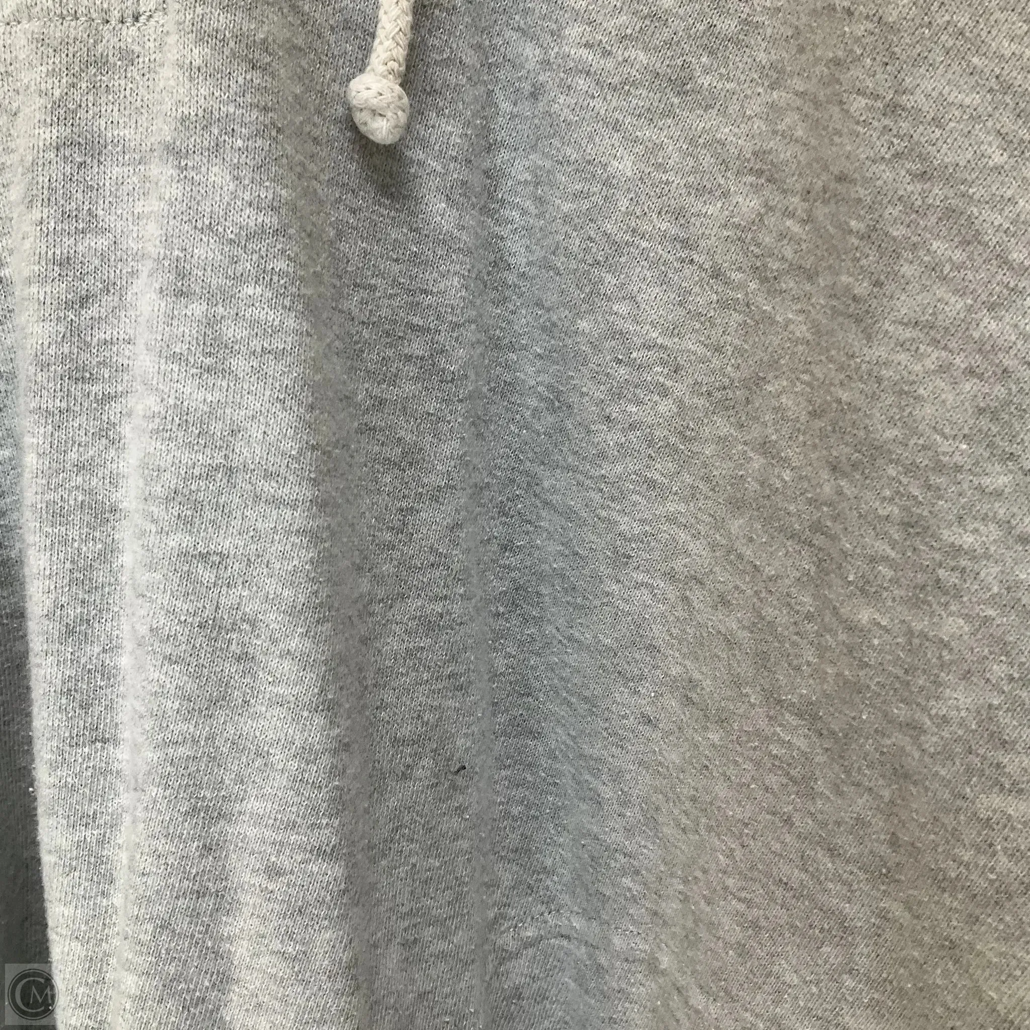 Sweatshirt Hoodie By Aerie In Grey, Size: Xs