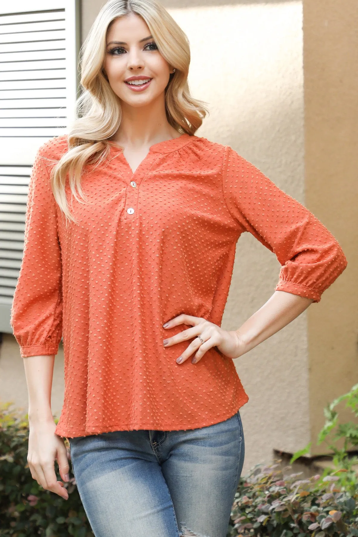 Swiss Dot Quarter Sleeve Notch Neckline