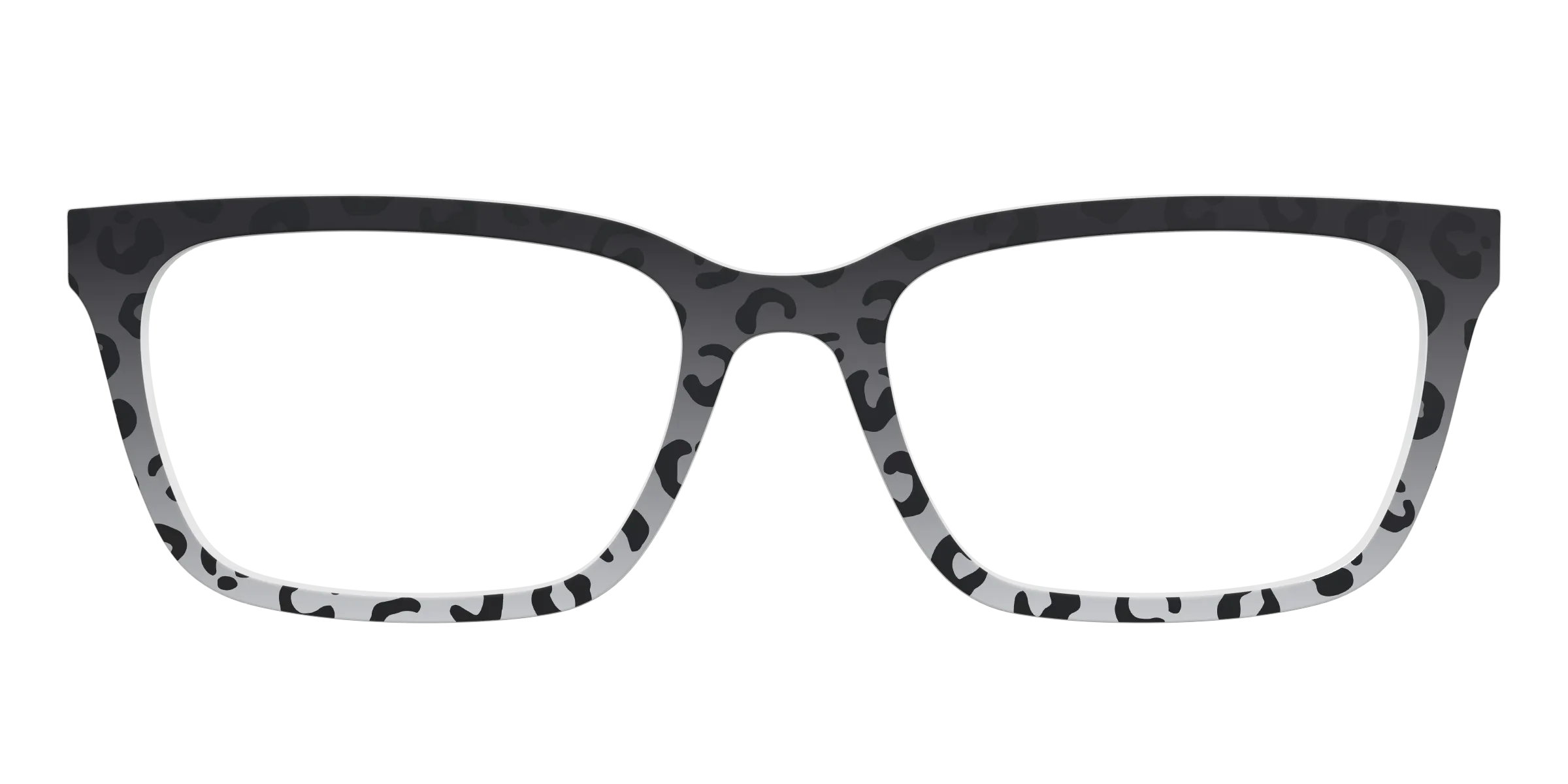 The Black Cheetah