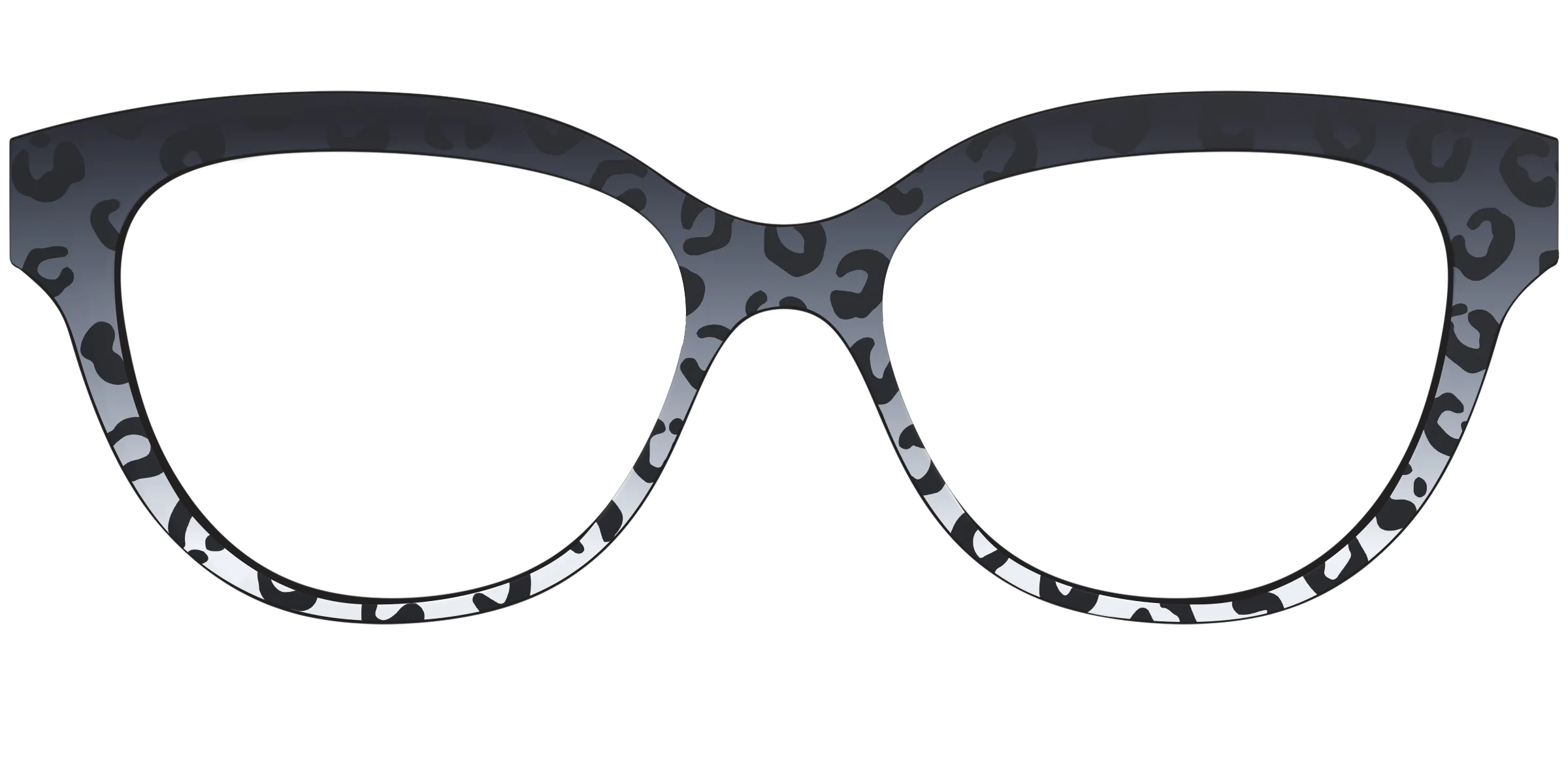 The Black Cheetah