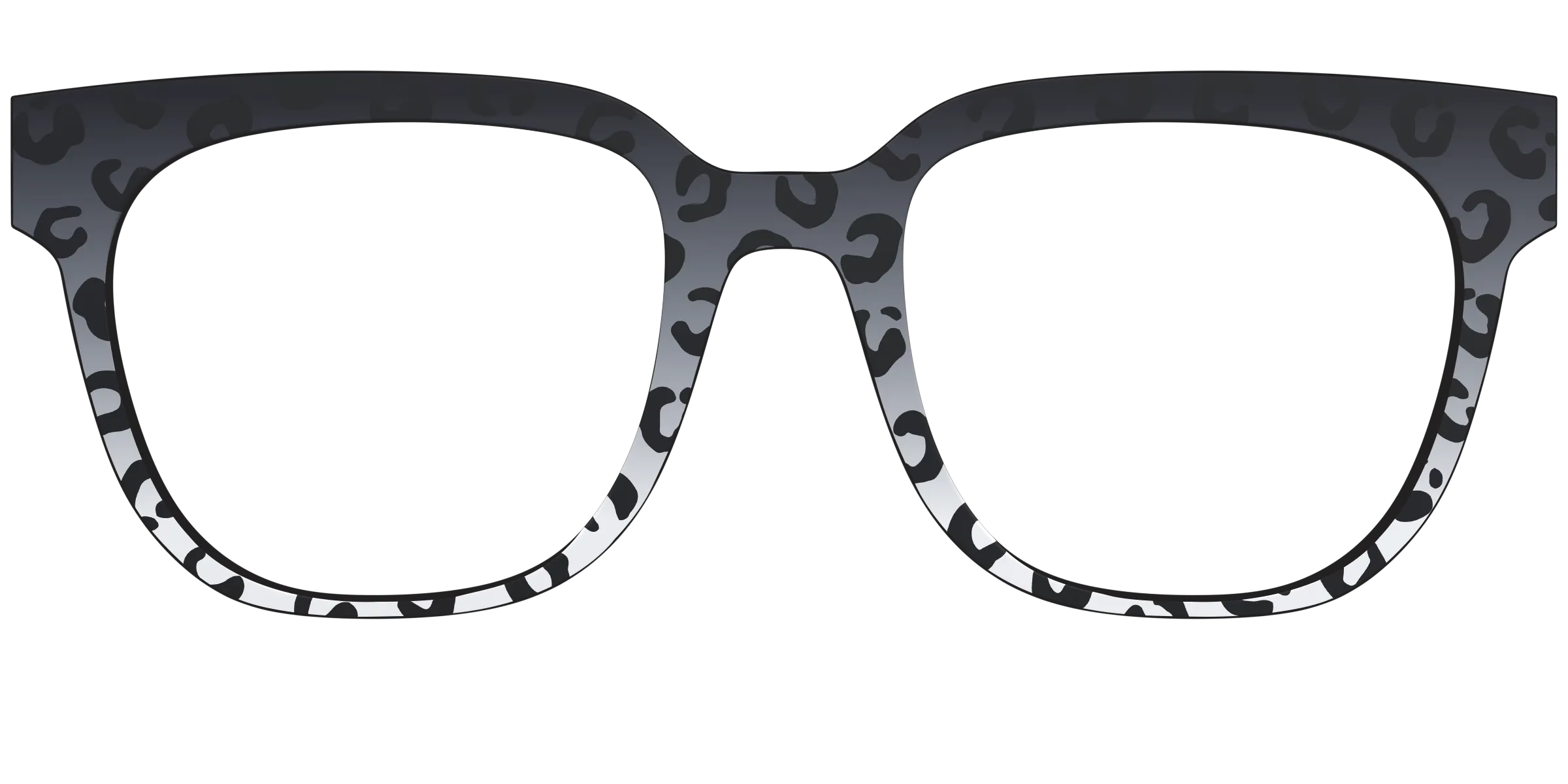 The Black Cheetah