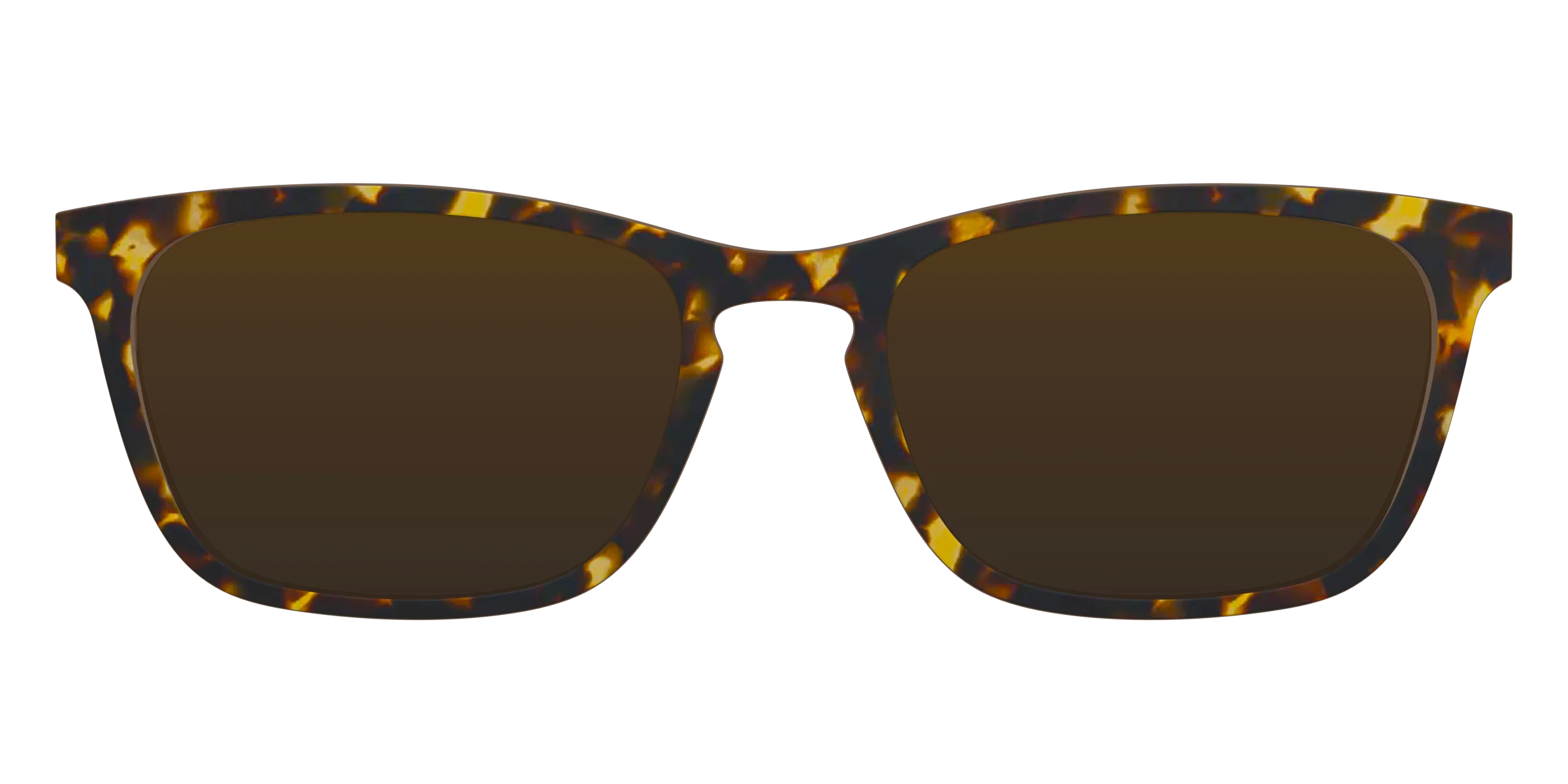 The Tortoise Sun Top