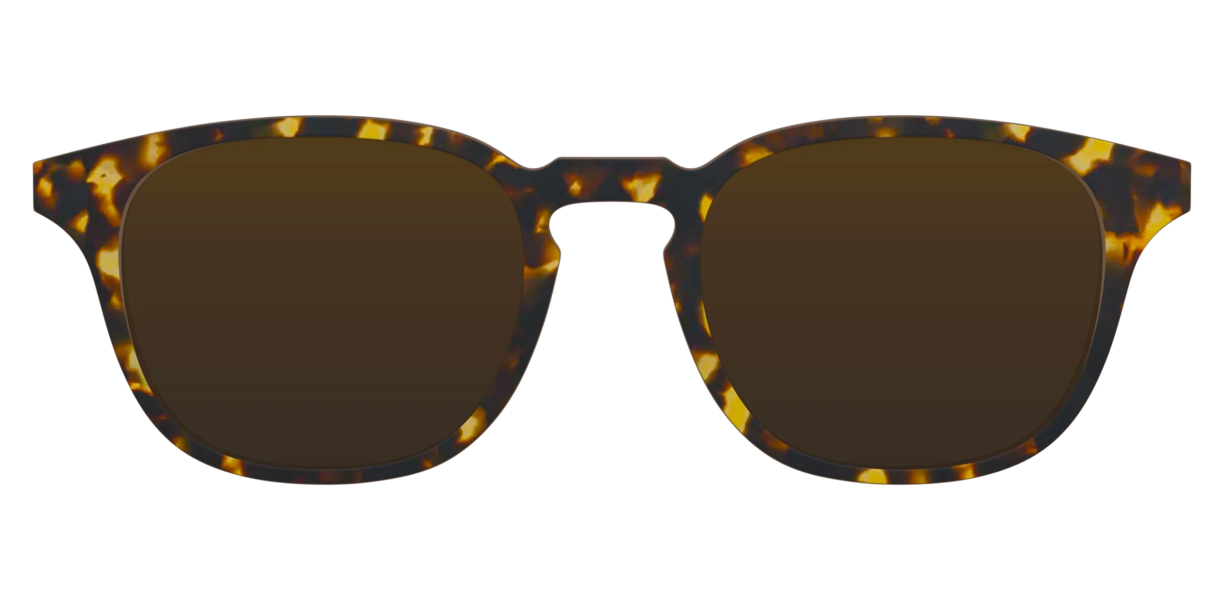 The Tortoise Sun Top
