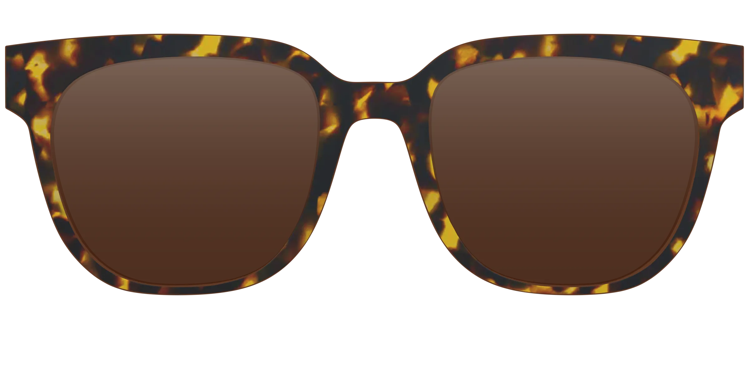 The Tortoise Sun Top