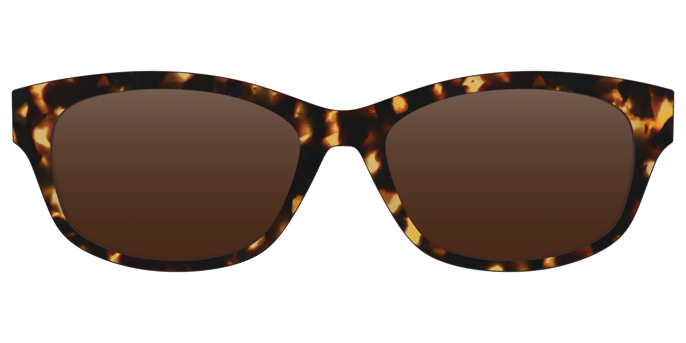 The Tortoise Sun Top