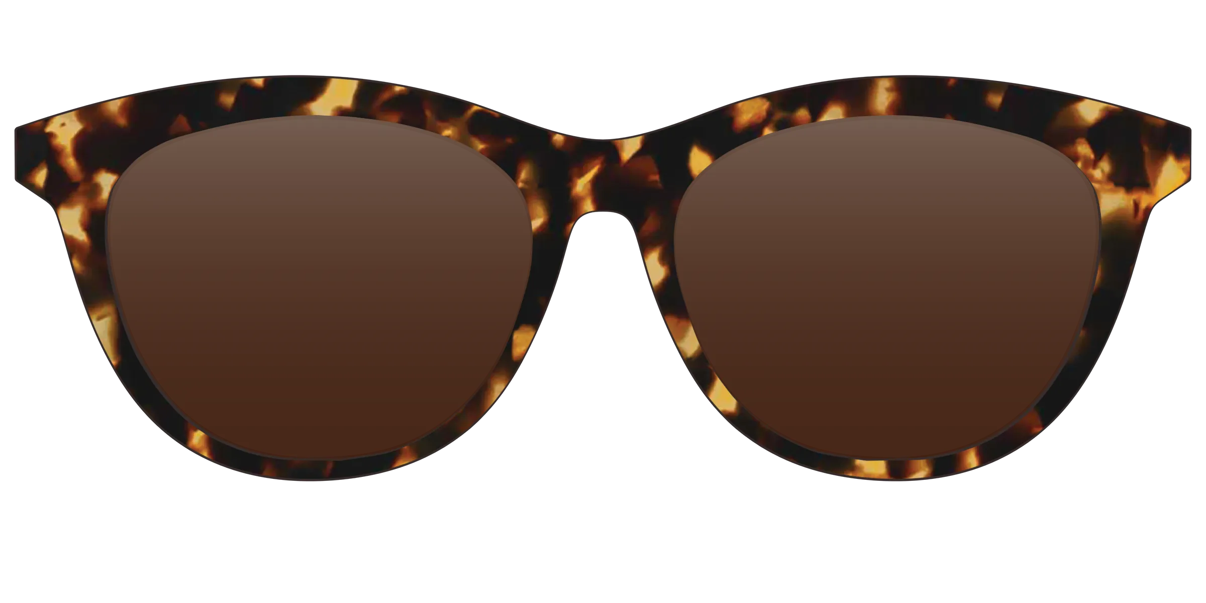 The Tortoise Sun Top