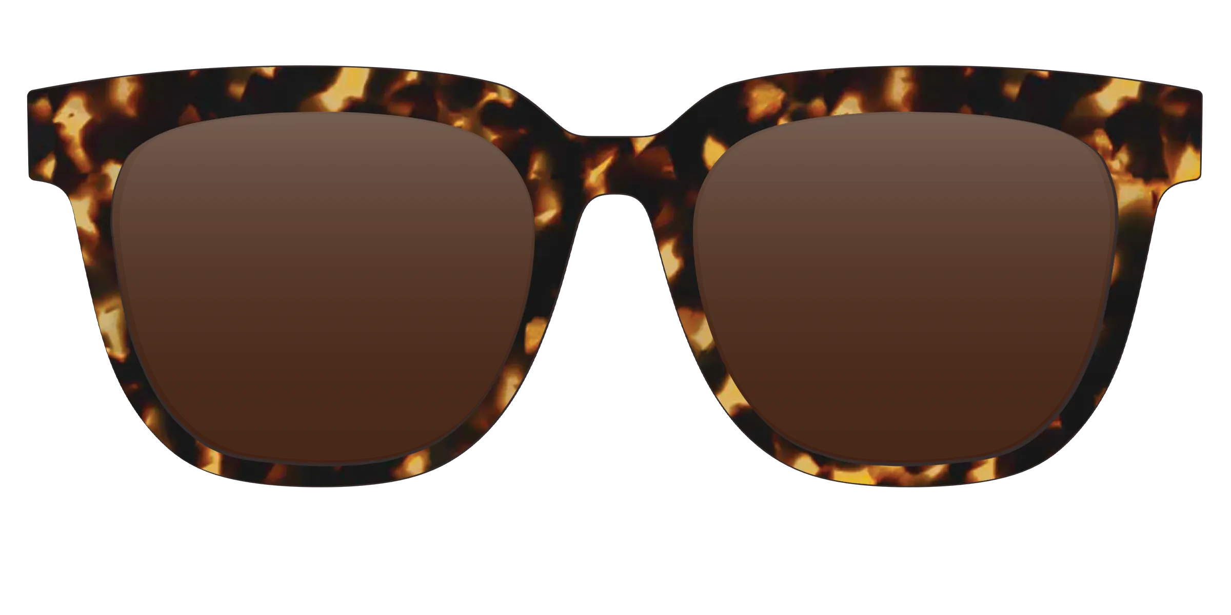 The Tortoise Sun Top