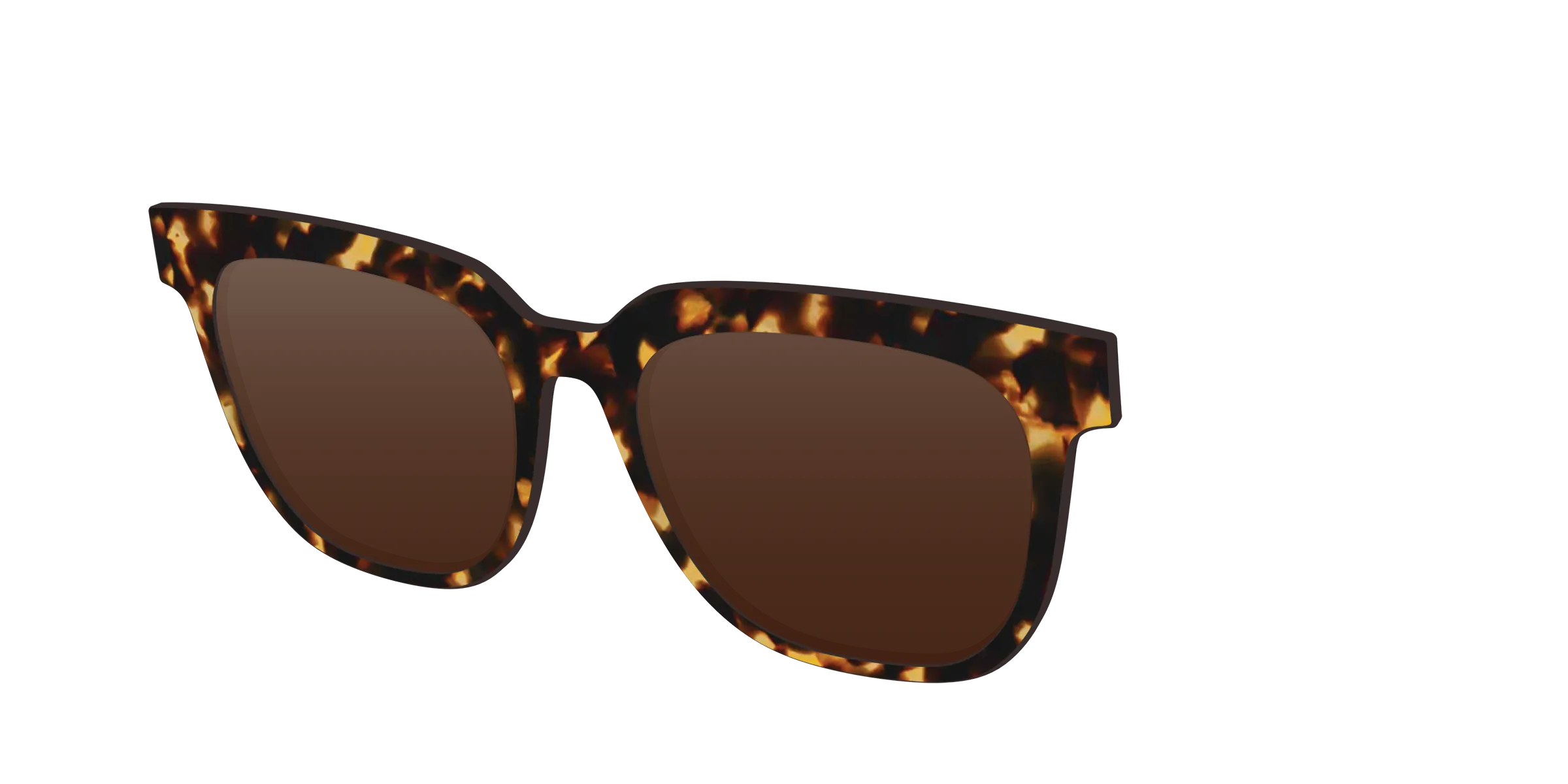 The Tortoise Sun Top
