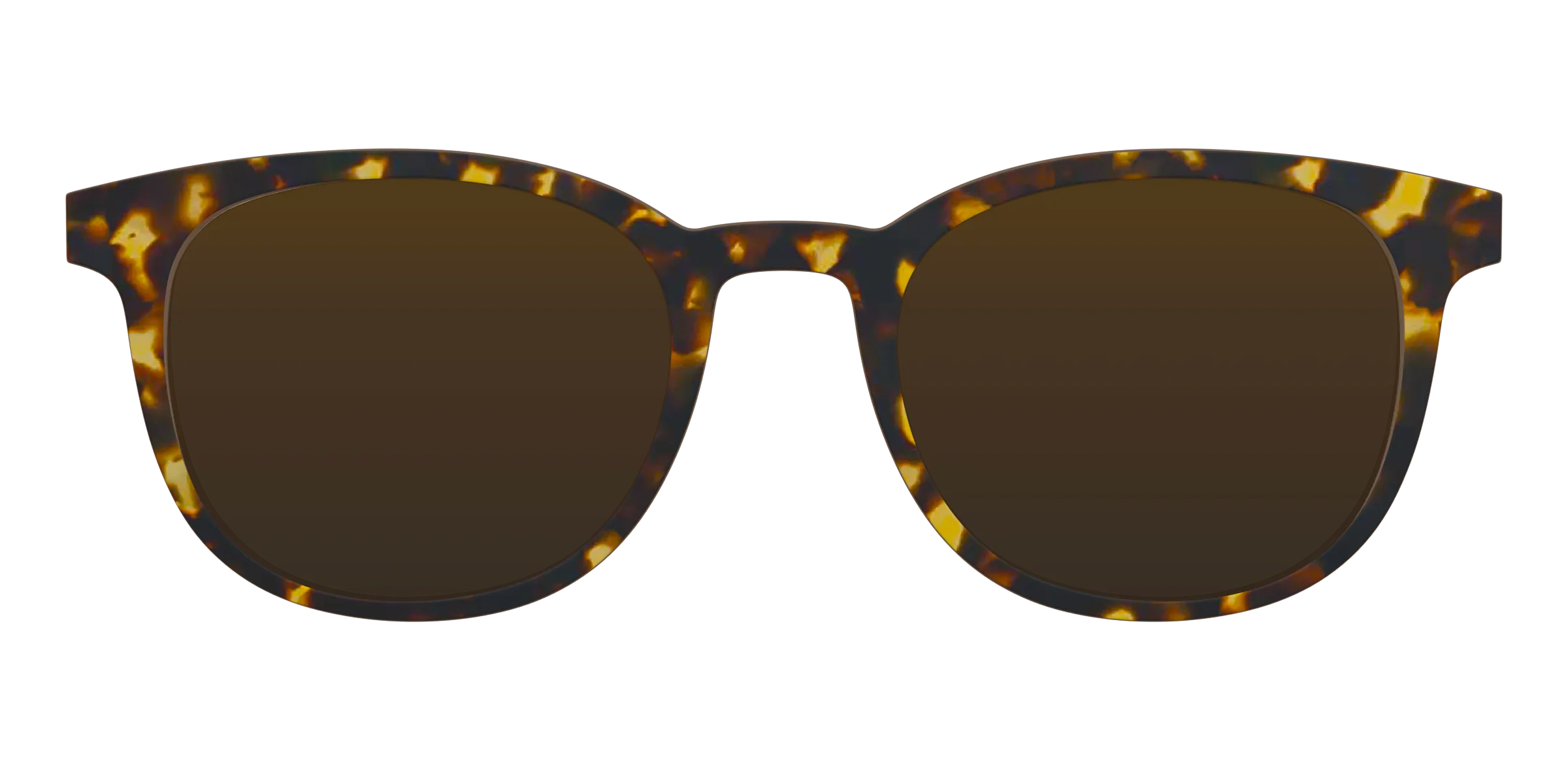The Tortoise Sun Top