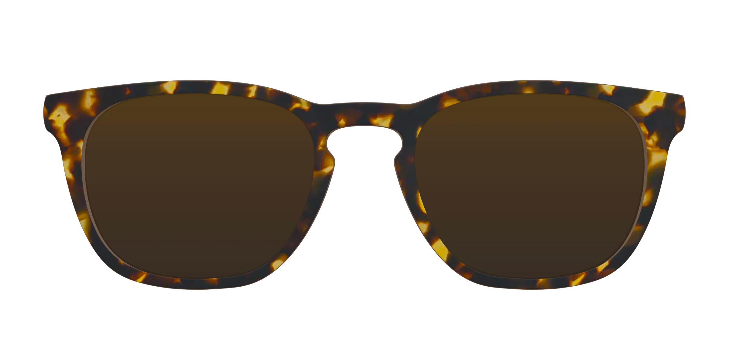 The Tortoise Sun Top