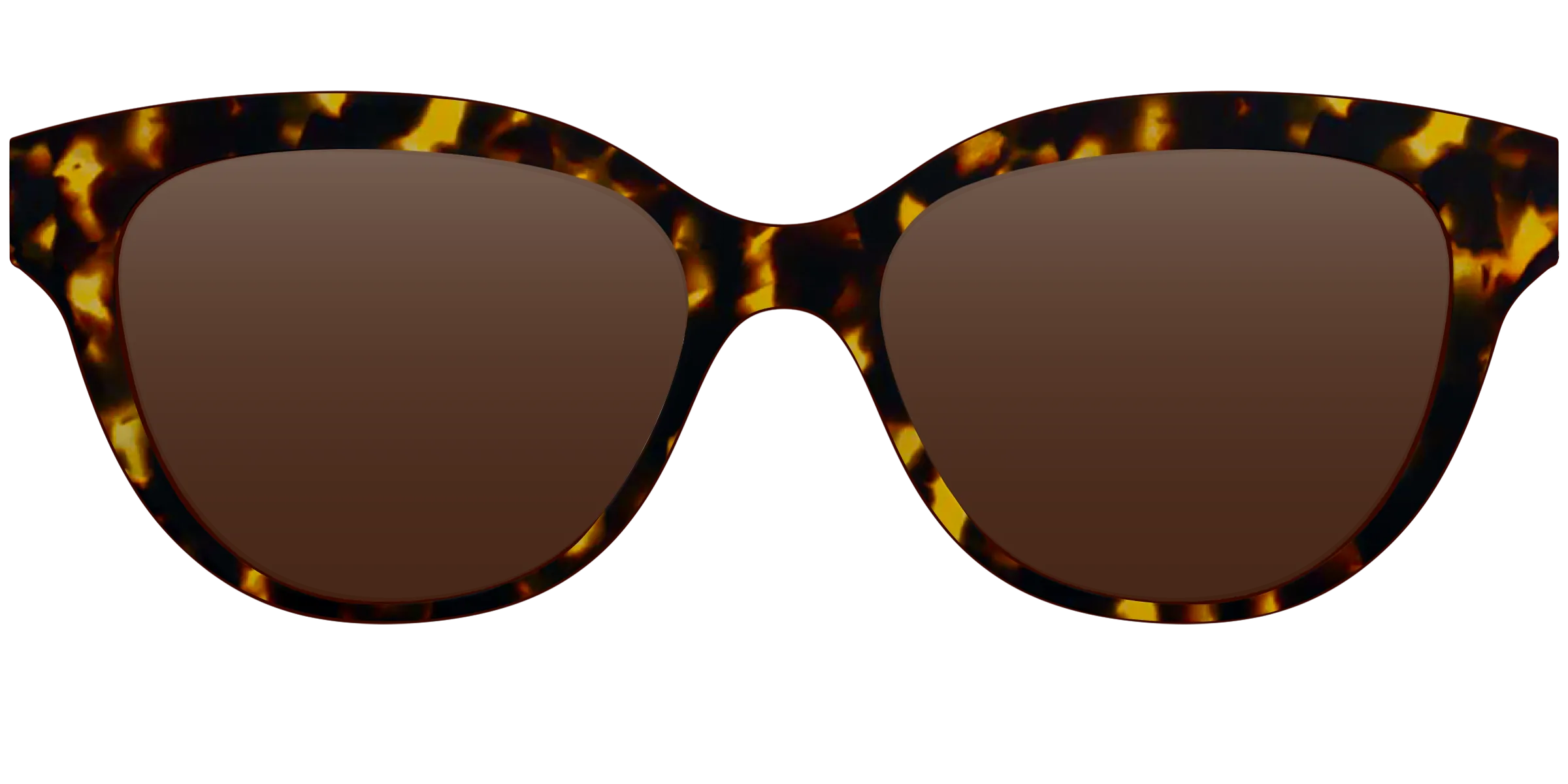 The Tortoise Sun Top