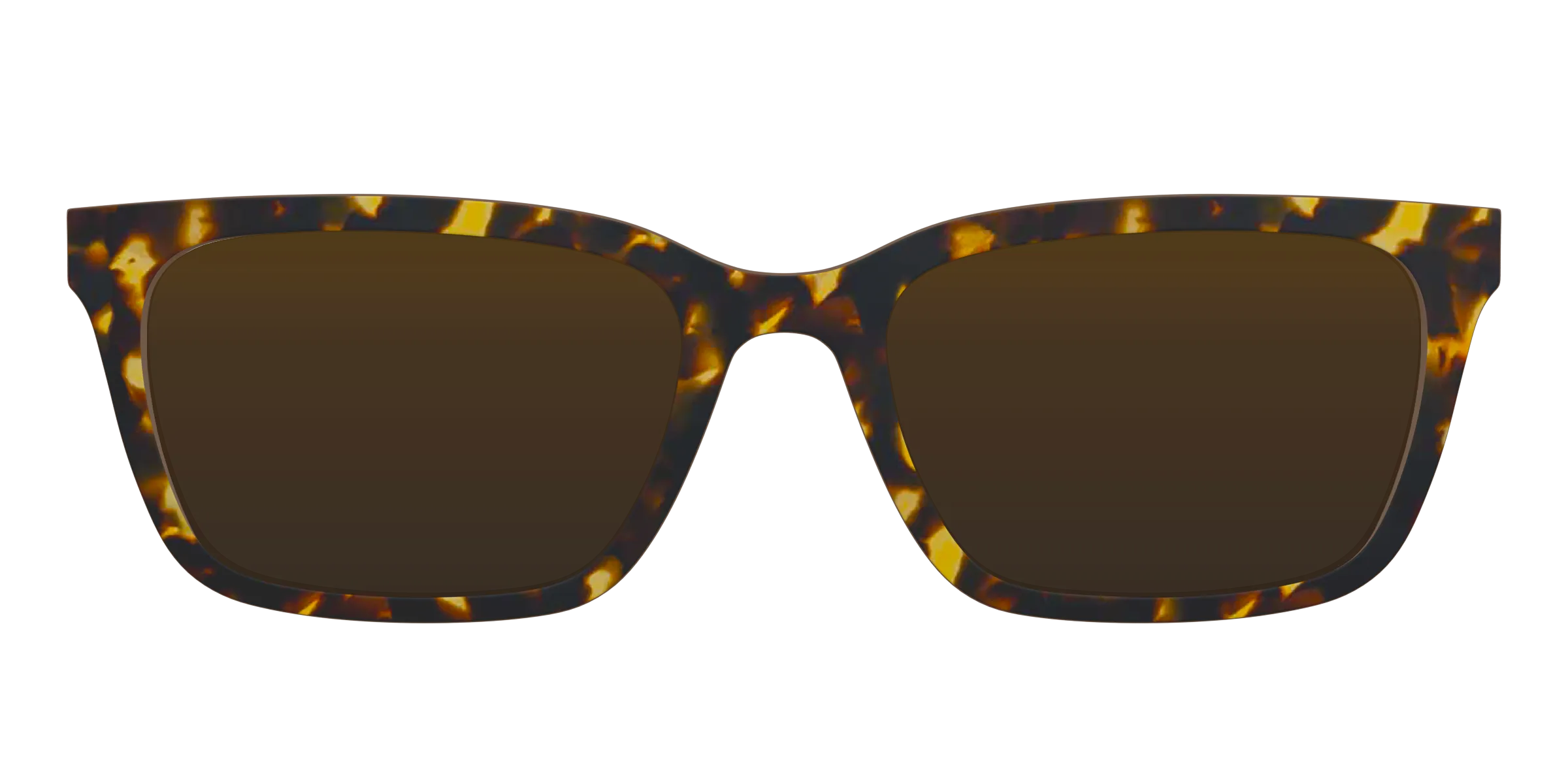 The Tortoise Sun Top