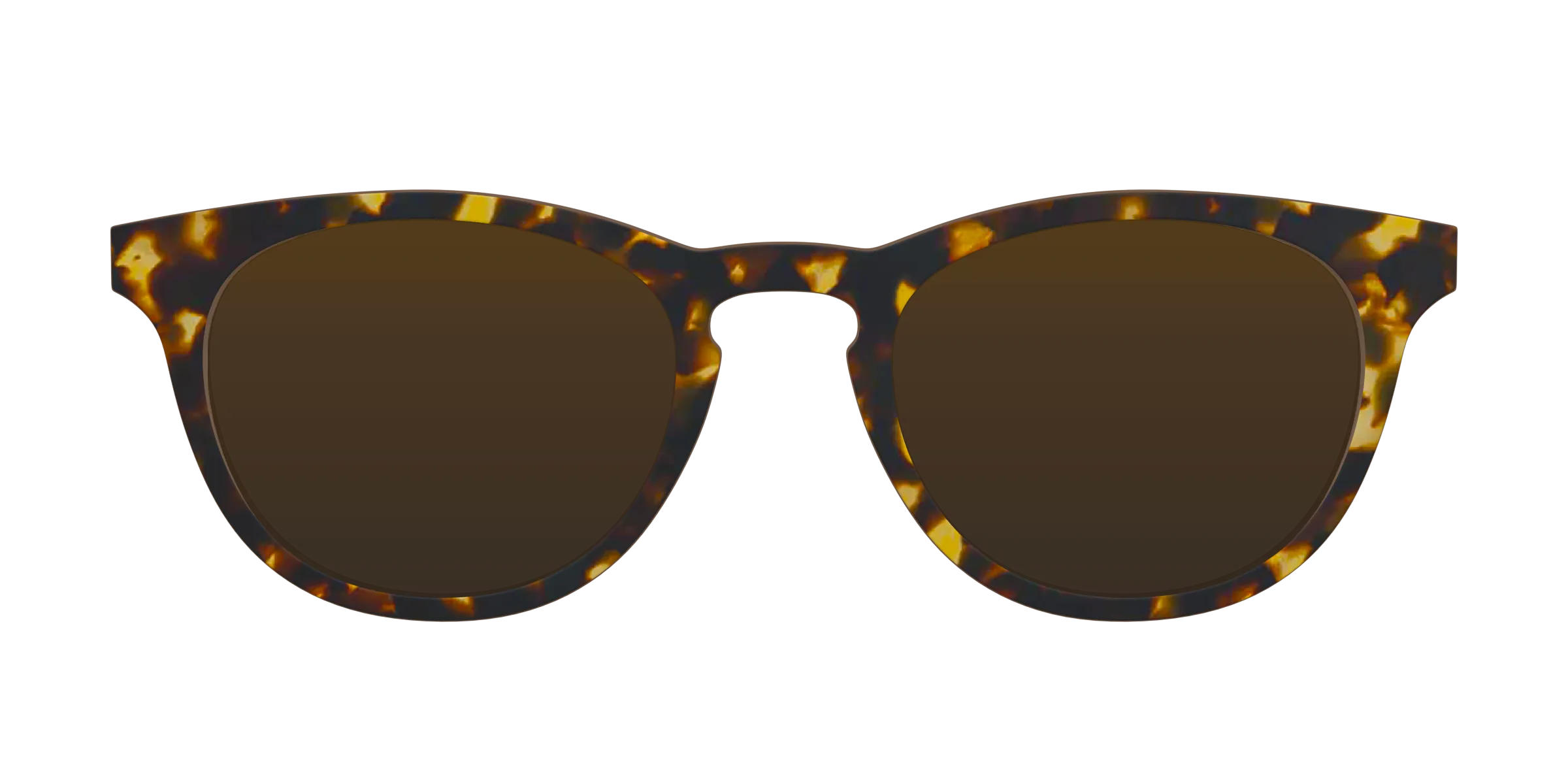The Tortoise Sun Top