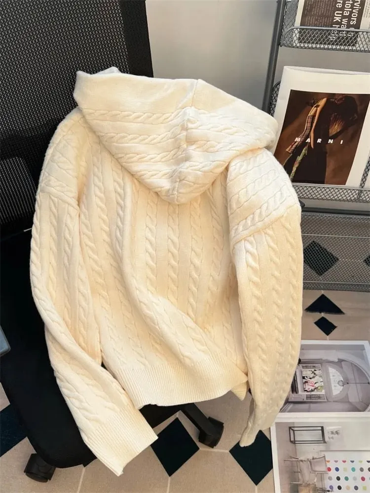 Vintage Hooded Loose Knitted Cardigan Long Sleeve Zipper Tops Retro Women Spring Fall Sweater Casual Knitwears Gilet